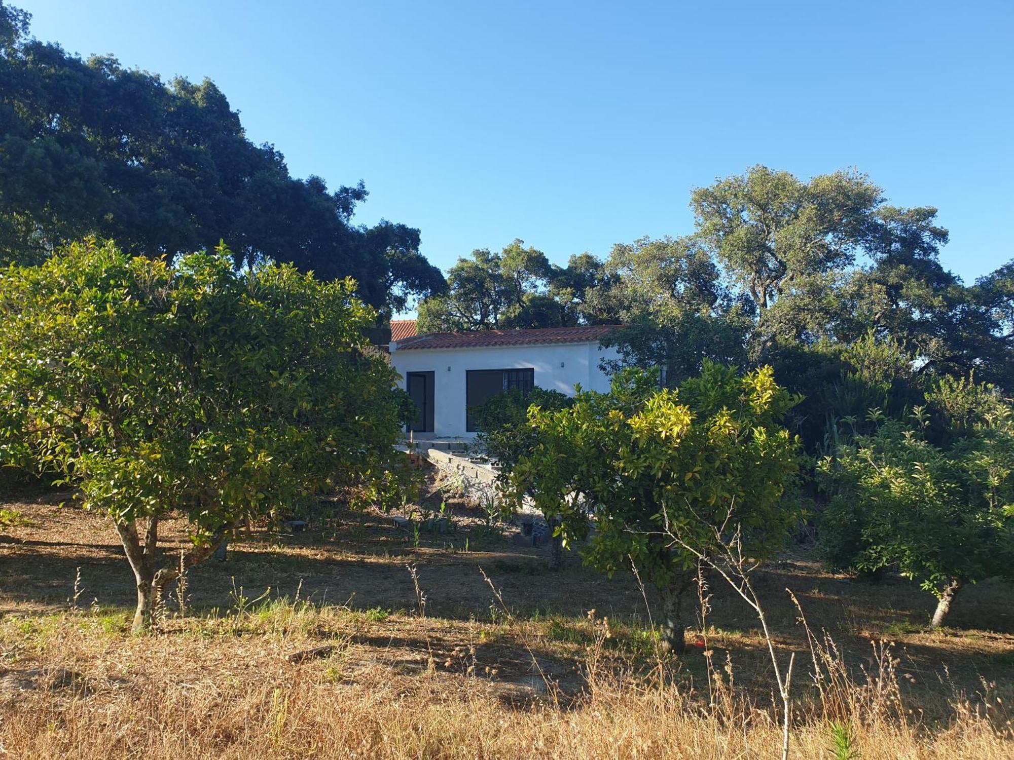 Quinta De Sao Pedro Sobreda Exterior foto